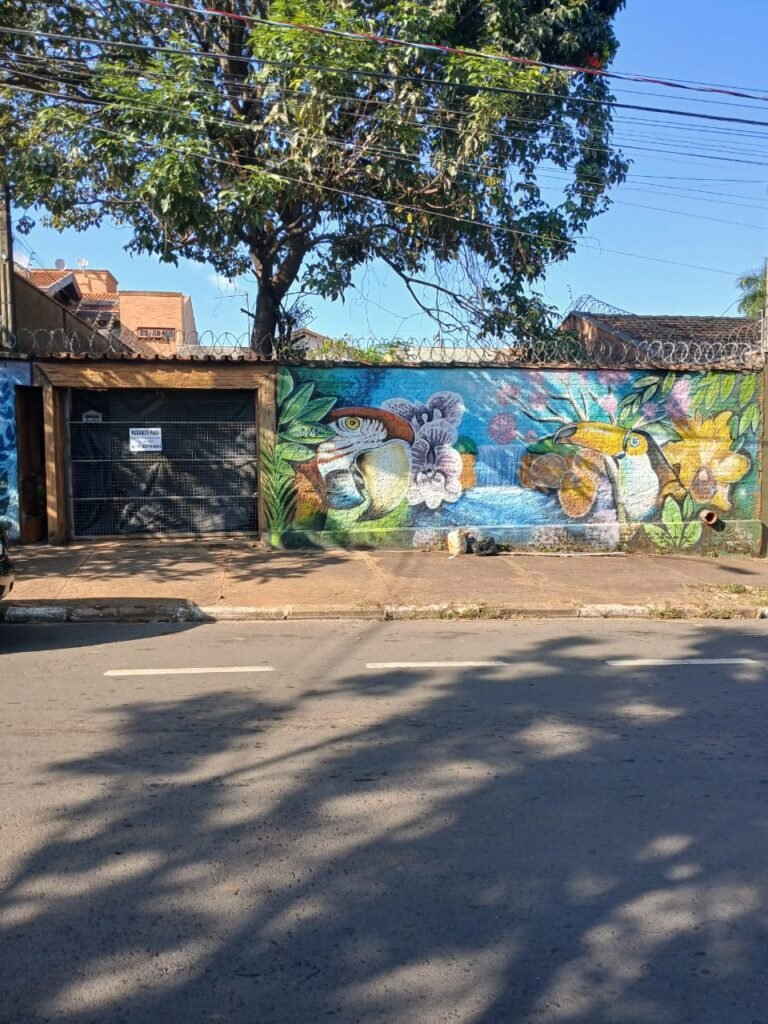 Edícula Jd Brasília